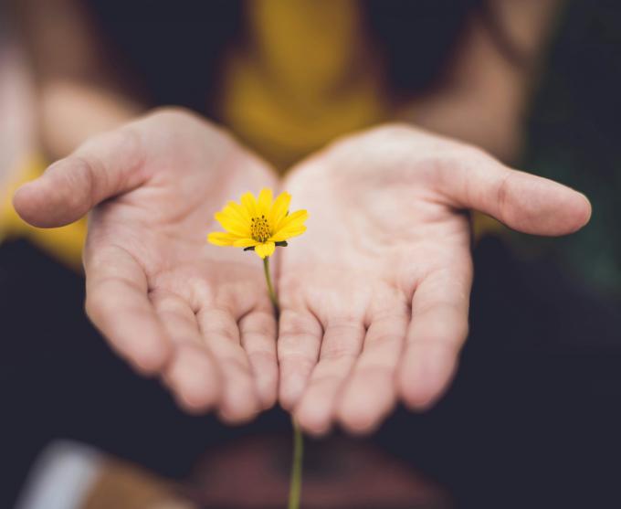 rozica in roke Fotografija lina trochez ktPKyUs3Qjs unsplash